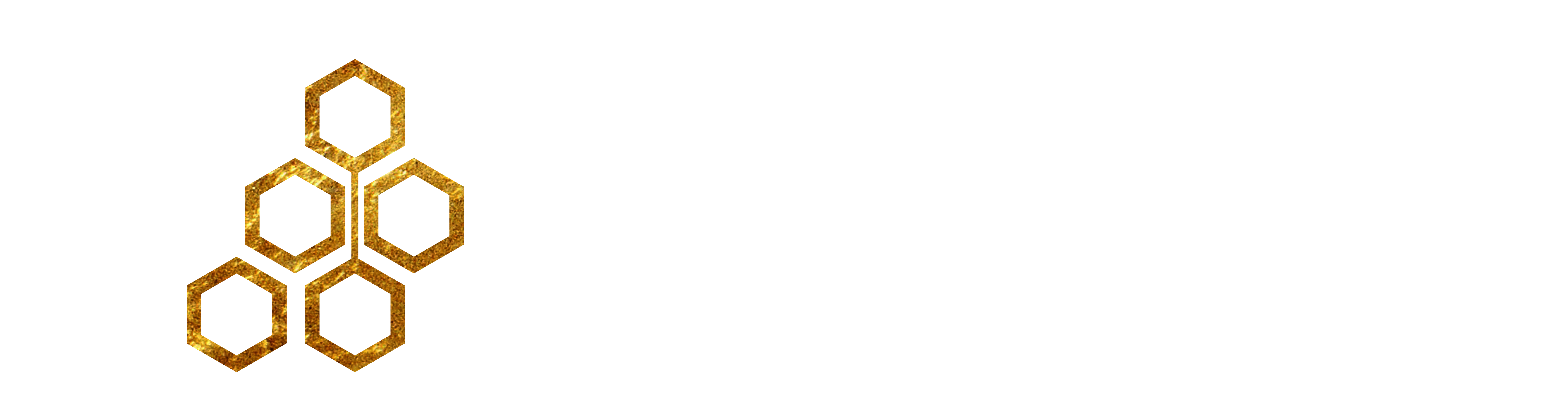 Logo BPRKAS